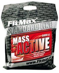 Фото Гейнер Mass Active FitMax